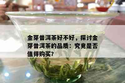 金芽普洱茶好不好，探讨金芽普洱茶的品质：究竟是否值得购买？