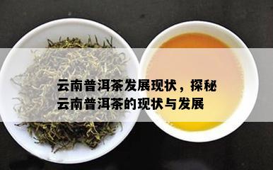 云南普洱茶发展现状，探秘云南普洱茶的现状与发展