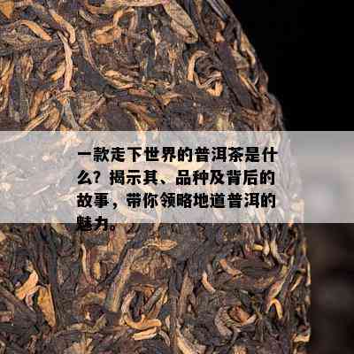 一款走下世界的普洱茶是什么？揭示其、品种及背后的故事，带你领略地道普洱的魅力。