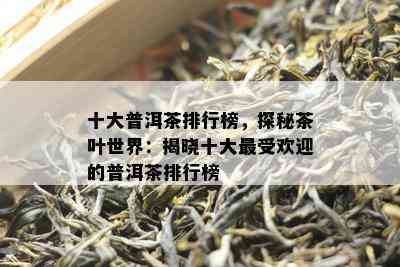 十大普洱茶排行榜，探秘茶叶世界：揭晓十大更受欢迎的普洱茶排行榜