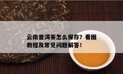 云南普洱茶怎么保存？看图教程及常见问题解答！