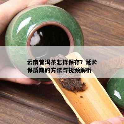 云南普洱茶怎样保存？延长保质期的方法与视频解析