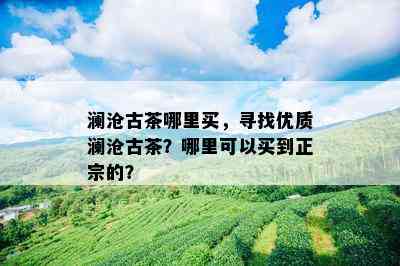 澜沧古茶哪里买，寻找优质澜沧古茶？哪里可以买到正宗的？