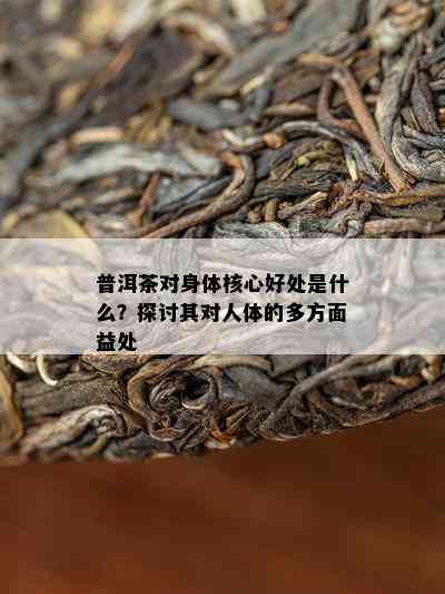 普洱茶对身体核心好处是什么？探讨其对人体的多方面益处