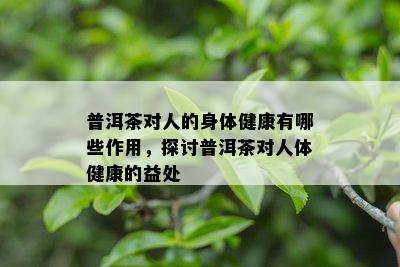 普洱茶对人的身体健康有哪些作用，探讨普洱茶对人体健康的益处