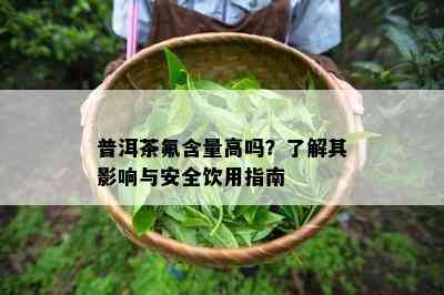 普洱茶氟含量高吗？了解其影响与安全饮用指南