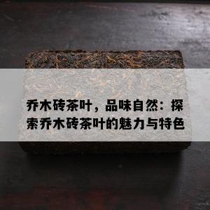 乔木砖茶叶，品味自然：探索乔木砖茶叶的魅力与特色