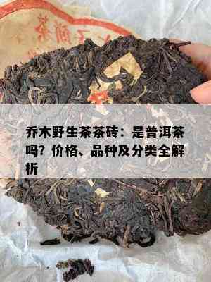 乔木野生茶茶砖：是普洱茶吗？价格、品种及分类全解析