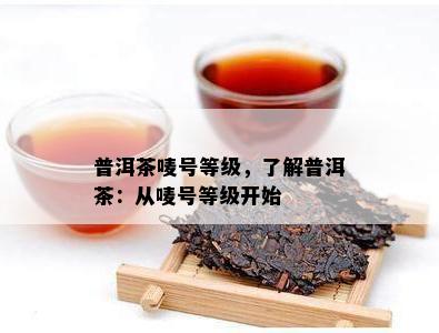 普洱茶唛号等级，了解普洱茶：从唛号等级开始