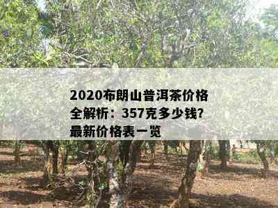 2020布朗山普洱茶价格全解析：357克多少钱？最新价格表一览