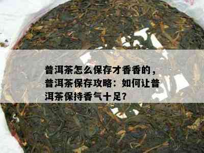 普洱茶怎么保存才香香的，普洱茶保存攻略：如何让普洱茶保持香气十足？