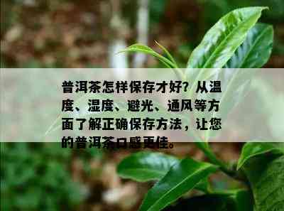 普洱茶怎样保存才好？从温度、湿度、避光、通风等方面了解正确保存方法，让您的普洱茶口感更佳。