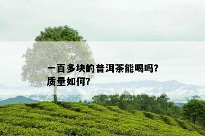 一百多块的普洱茶能喝吗？质量如何？