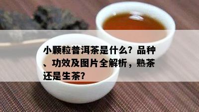 小颗粒普洱茶是什么？品种、功效及图片全解析，熟茶还是生茶？