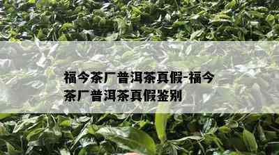 福今茶厂普洱茶真假-福今茶厂普洱茶真假鉴别