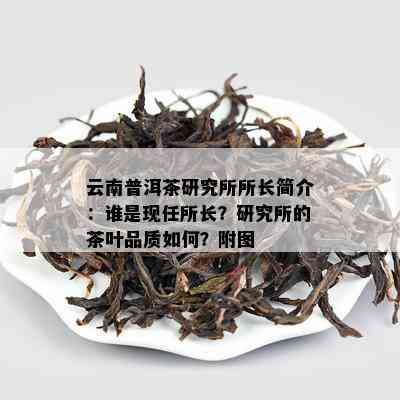 云南普洱茶研究所所长简介：谁是现任所长？研究所的茶叶品质如何？附图