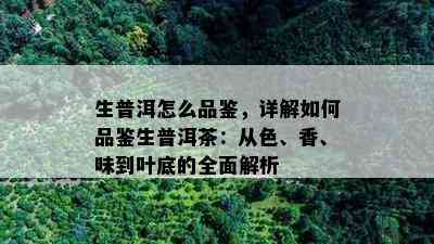 生普洱怎么品鉴，详解如何品鉴生普洱茶：从色、香、味到叶底的全面解析