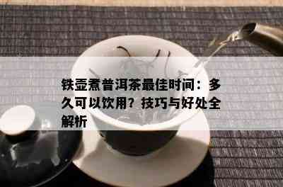 铁壶煮普洱茶更佳时间：多久可以饮用？技巧与好处全解析