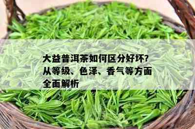 大益普洱茶如何区分好坏？从等级、色泽、香气等方面全面解析