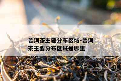 普洱茶主要分布区域-普洱茶主要分布区域是哪里