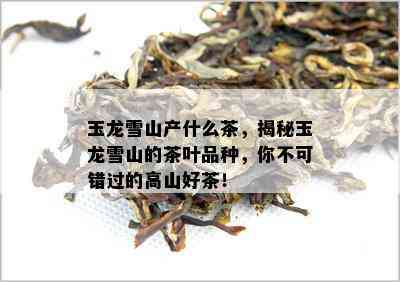 玉龙雪山产什么茶，揭秘玉龙雪山的茶叶品种，你不可错过的高山好茶！