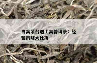 当卖茅台遇上卖普洱茶：经营策略大比拼