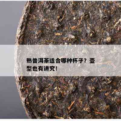 熟普洱茶适合哪种杯子？壶型也有讲究！