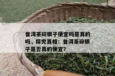 普洱茶碎银子便宜吗是真的吗，探究真相：普洱茶碎银子是否真的便宜？