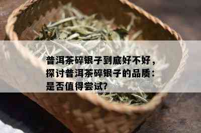 普洱茶碎银子到底好不好，探讨普洱茶碎银子的品质：是否值得尝试？