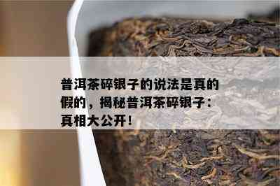 普洱茶碎银子的说法是真的假的，揭秘普洱茶碎银子：真相大公开！