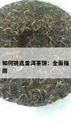 如何挑选普洱茶饼：全面指南