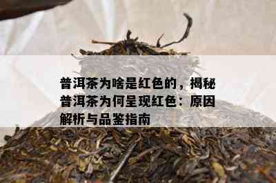 普洱茶为啥是红色的，揭秘普洱茶为何呈现红色：原因解析与品鉴指南