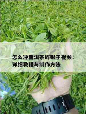 怎么冲普洱茶碎银子视频：详细教程与制作方法