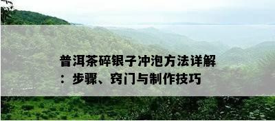 普洱茶碎银子冲泡方法详解：步骤、窍门与制作技巧