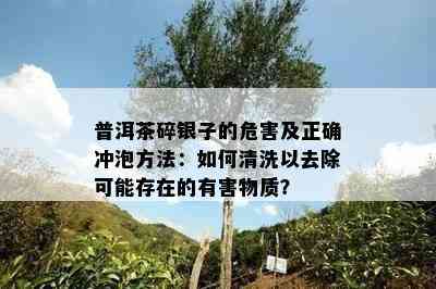 普洱茶碎银子的危害及正确冲泡方法：如何清洗以去除可能存在的有害物质？