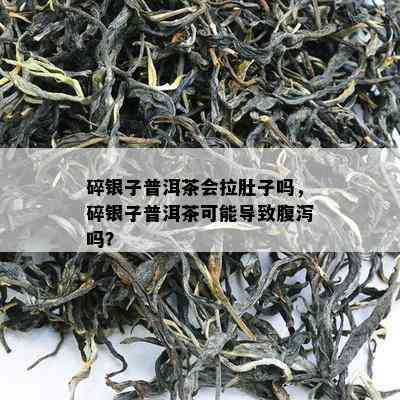 碎银子普洱茶会拉肚子吗，碎银子普洱茶可能导致腹泻吗？