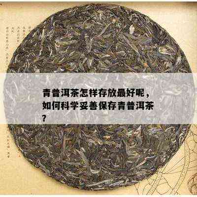 青普洱茶怎样存放更好呢，如何科学妥善保存青普洱茶？