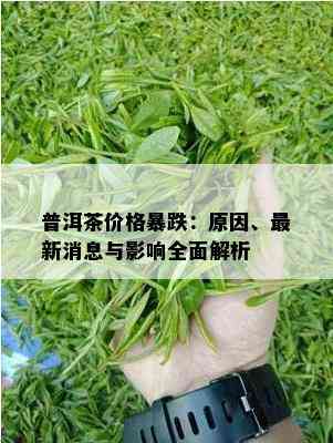 普洱茶价格暴跌：原因、最新消息与影响全面解析