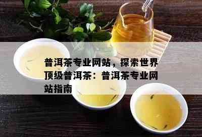 普洱茶专业网站，探索世界顶级普洱茶：普洱茶专业网站指南