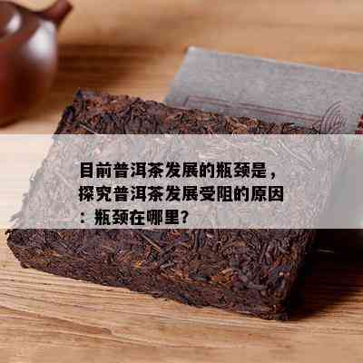 目前普洱茶发展的瓶颈是，探究普洱茶发展受阻的原因：瓶颈在哪里？