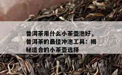 普洱茶用什么小茶壶泡好，普洱茶的更佳冲泡工具：揭秘适合的小茶壶选择