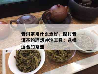 普洱茶用什么壶好，探讨普洱茶的理想冲泡工具：选择适合的茶壶