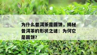 为什么普洱茶是圆饼，揭秘普洱茶的形状之谜：为何它是圆饼？