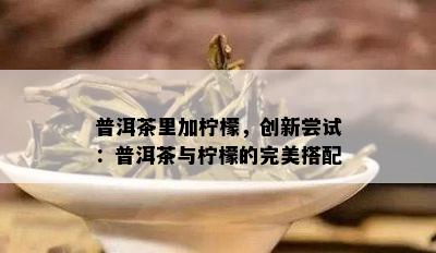 普洱茶里加柠檬，创新尝试：普洱茶与柠檬的完美搭配