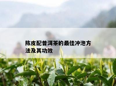 陈皮配普洱茶的更佳冲泡方法及其功效