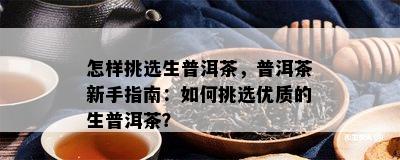 怎样挑选生普洱茶，普洱茶新手指南：如何挑选优质的生普洱茶？