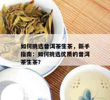 如何挑选普洱茶生茶，新手指南：如何挑选优质的普洱茶生茶？