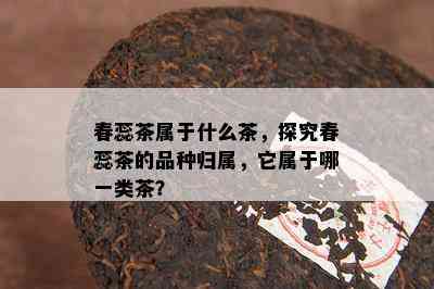 春蕊茶属于什么茶，探究春蕊茶的品种归属，它属于哪一类茶？