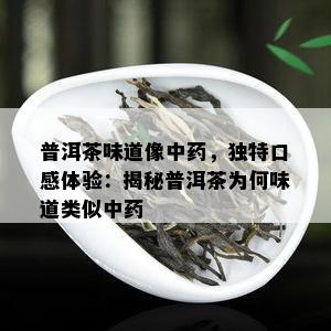 普洱茶味道像中，独特口感体验：揭秘普洱茶为何味道类似中