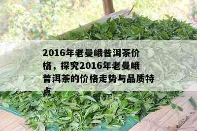 2016年老曼峨普洱茶价格，探究2016年老曼峨普洱茶的价格走势与品质特点